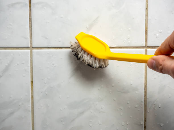  Blue Mound, IL Mold Removal Pros